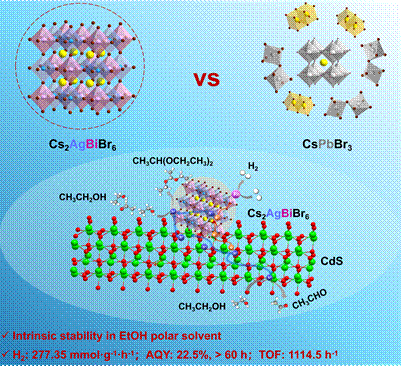 Graphical Abstract Image